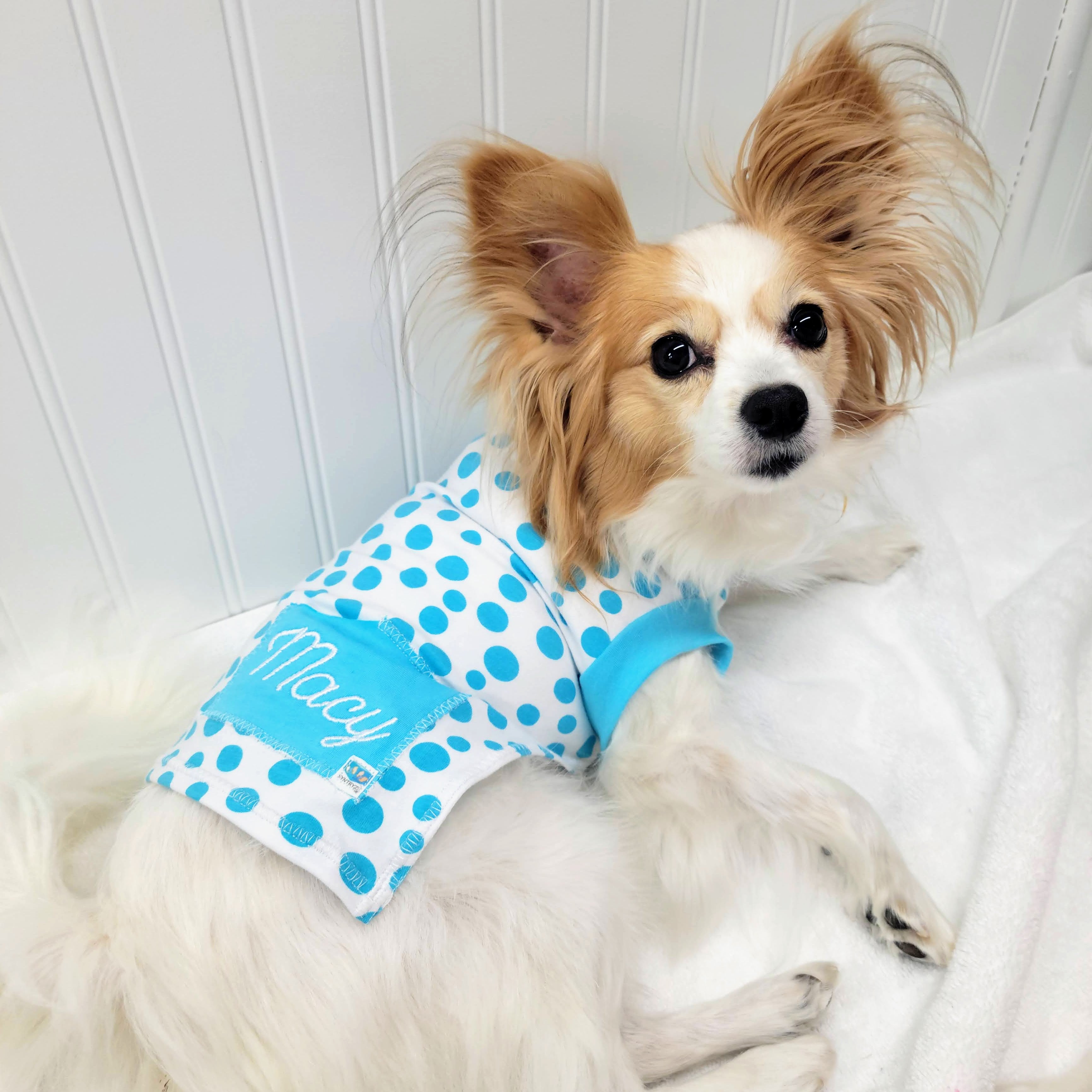 Papillon hotsell dog clothing